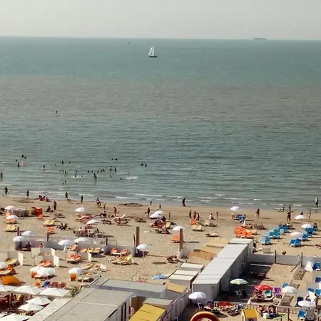 In Near The * Blankenberge